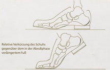 Verlängerung des Fußes in der Abrollphase